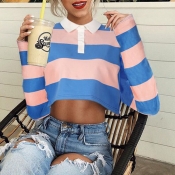 Lovely Euramerican Show Hilum Striped Multicolor H