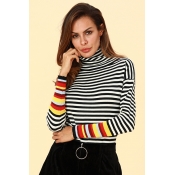 Lovely Casual Striped Black Cotton Sweaters