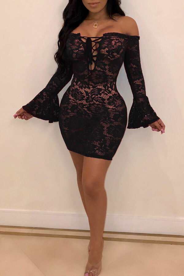 Lovely Sexy See-through Black Lace Mini Dress