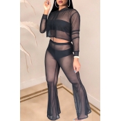 Lovely Sexy See-through Black Two-piece Pants Set 