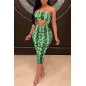 Lovely Sexy Backless Leopard Printed Green Knee Le