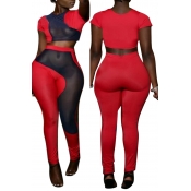 Lovely Casual Mesh Patchwork Red Two-piece Pants S
