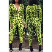 Lovely Stylish Leopard Printed Green Two-piece Pan