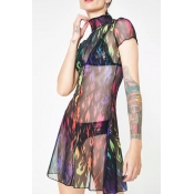 Lovely Sexy Turtleneck See-through Multicolor Mini