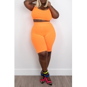 Lovely Casual Orange Plus Size Two-piece Shorts