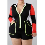 Lovely Casual Turndown Collar Patchwork Black Plus