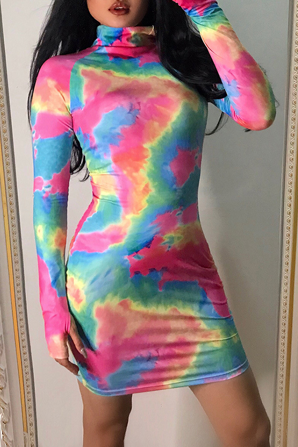Lovely Casual Turtleneck Printed Multicolor Mini Dress