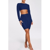 Lovely Chic Crop Top Blue Two-piece Shorts Set