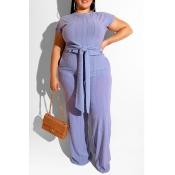 Lovely Casual Knot Design Baby Blue Plus Size Two-