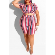 Lovely Casual Striped Printed Plus Size Two-piece 