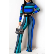 Lovely Casual Striped Knot Design Blue Two-piece P