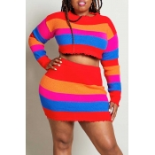 Lovely Casual Striped Multicolor Plus Size Two-pie