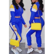 Lovely Casual Patchwork Blue Two-piece Pants Set