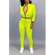 Lovely Casual Basic Yellow Two-piece Pants Set