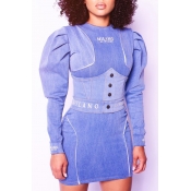 Lovely Casual Patchwork Blue Mini Dress