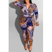Lovely Casual Printed Blue Plus Size One-piece Jum