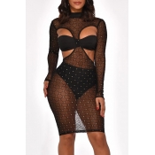 Lovely Sexy See-through Black Three-piece Skirt Se