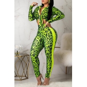 Lovely Casual Turndown Collar Printed Green Two-pi