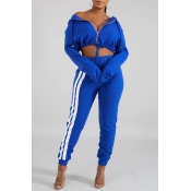 Lovely Casual Hooded Collar Crop Top Blue Two-piec