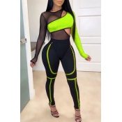 Lovely Sexy Patchwork Green Two Piece Pants Set