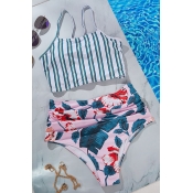 Lovely Striped Green Two-piece Swimsuit