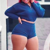 Lovely Casual Zipper Design Blue Plus Size Two-pie