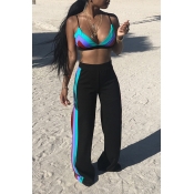 Lovely Casual Print Blue Two-piece Pants Set