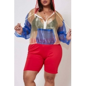 Lovely Plus Size Casual Patchwork Red Two-piece Sh