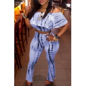 Lovely Leisure Print Blue Plus Size Two-piece Pant