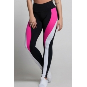 Lovely Sportswear Patchwork Rose Red Pants