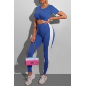 Lovely Sportswear Patchwork Blue Two-piece Pants S