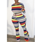 lovely Casual Striped Blue Plus Size Two-piece Pan