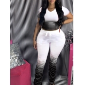 lovely Casual Gradual Change Black Plus Size Two-p