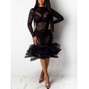 Lovely Sexy See-through Patchwork Black Mid Calf D