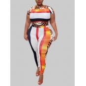 lovely Trendy Print Multicolor Plus Size Two-piece