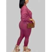 Lovely Plus Size Casual O Neck Basic Purple Two-pi