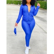 Lovely Sportswear Turndown Collar Zipper Design Bl