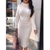 Lovely Casual Turtleneck Long Sleeve White Mid Cal