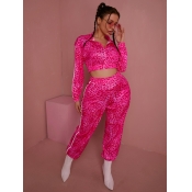 LW Leopard Print Striped Tracksuit Set