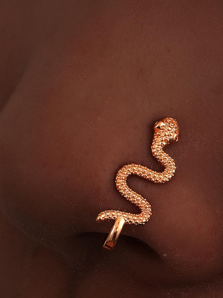 LW Snake Decor Nose Ring Jewelry