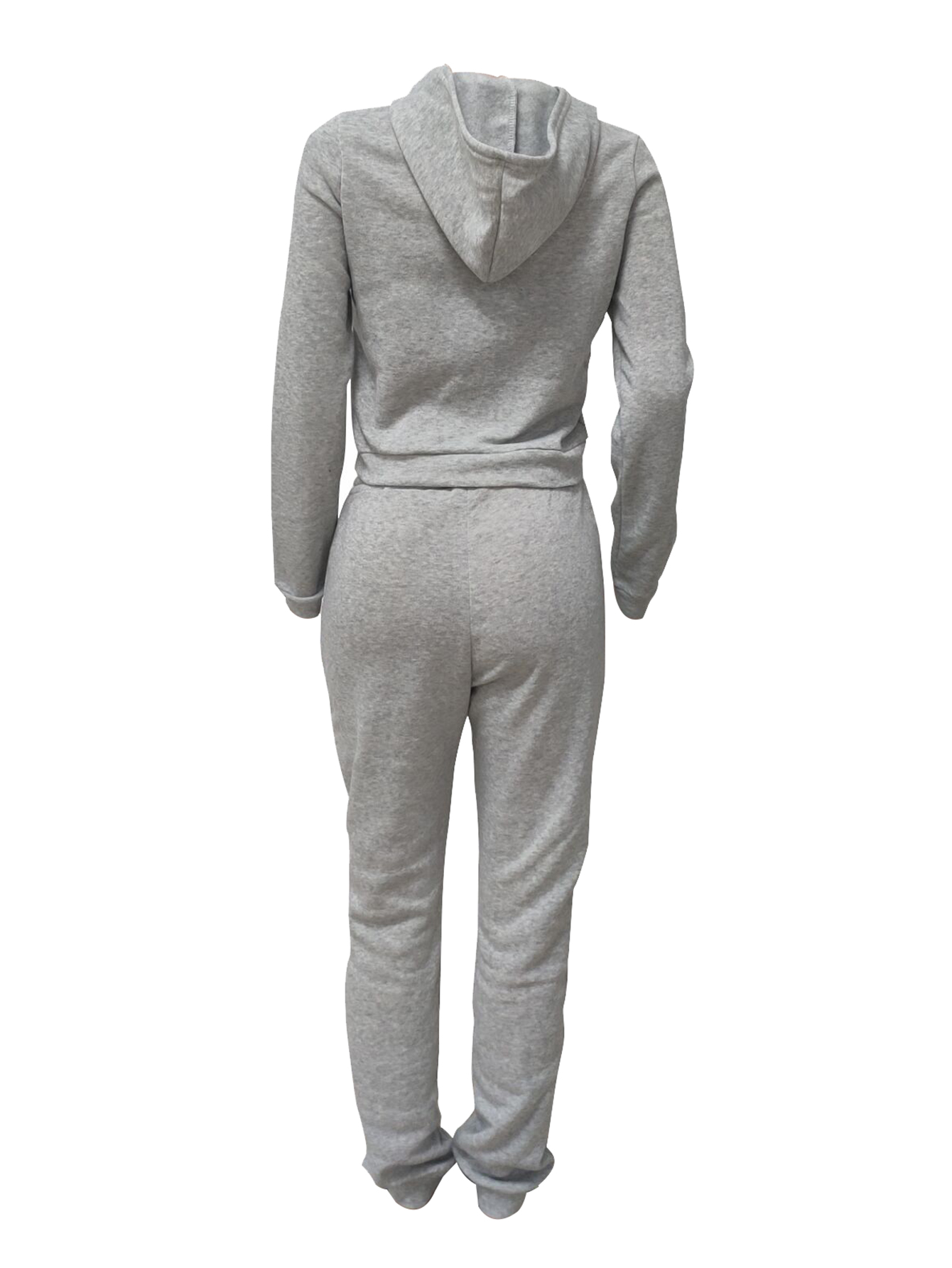 LW BASICS Casual Polyester Hooded Collar Solid Color Long Sleeve Two-piece Pants Set